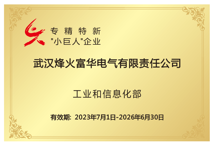 National Specialized, Refined, Differential and Innovative "Little Giant" Enterprise