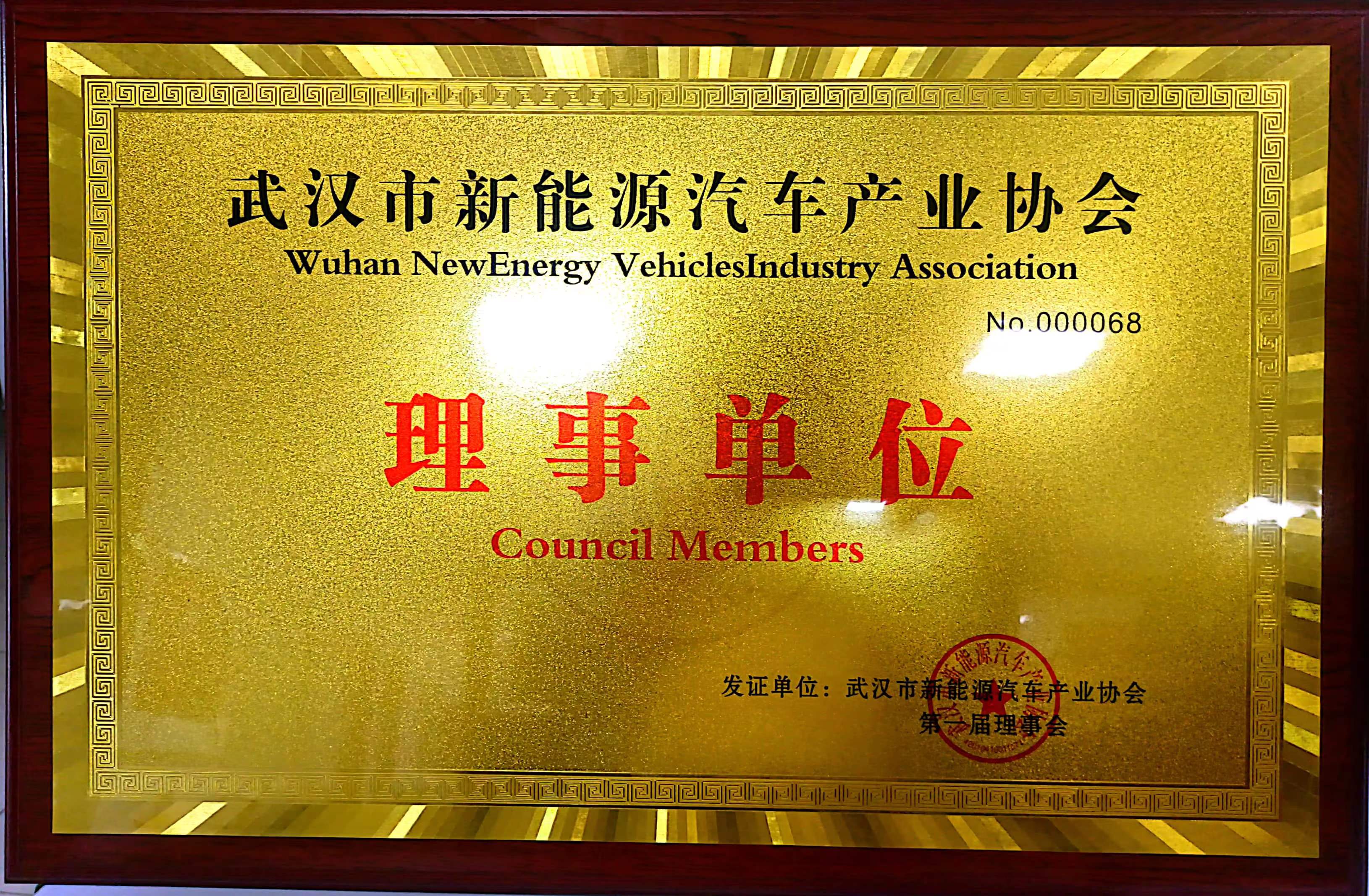 Council Member, Wuhan New Energy Vehicle Industry Association